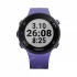 Часы Garmin Forerunner 45S ирис Часы Garmin Forerunner 45S ирис