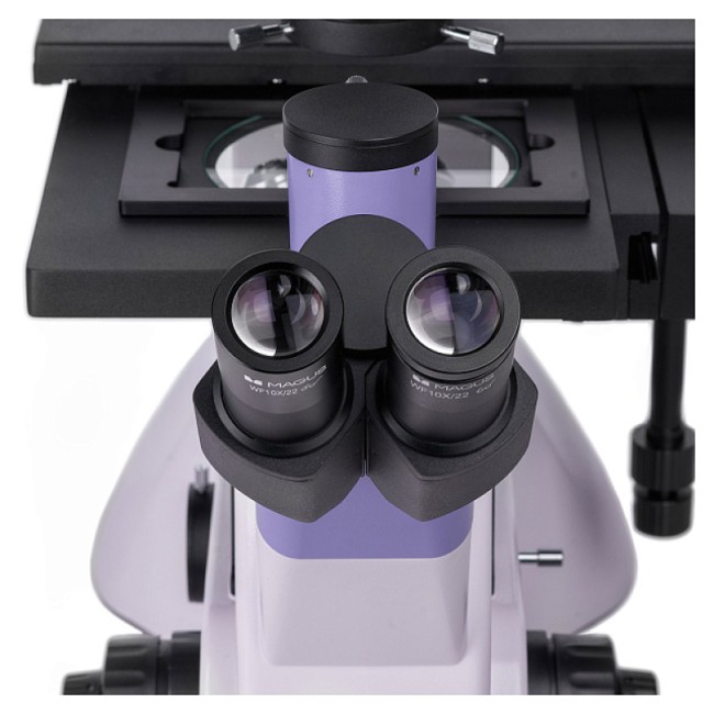 Микроскоп биологический инвертированный MAGUS Bio V350 Микроскоп биологический инвертированный MAGUS Bio V350