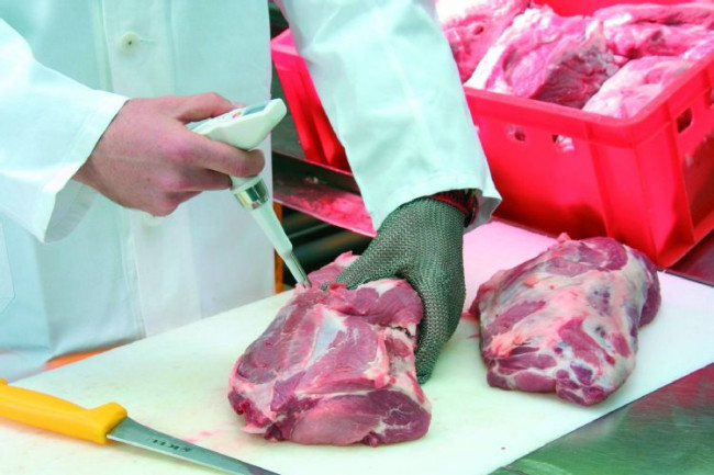 Комплект Testo 105 с кейсом Комплект Testo 105 с кейсом